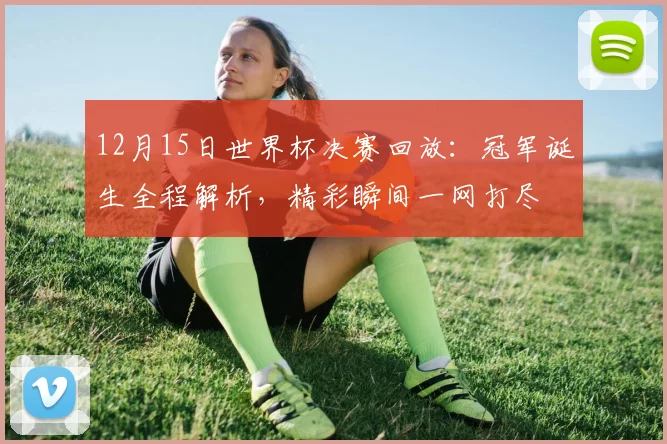 12月15日世界杯决赛回放：冠军诞生全程解析，精彩瞬间一网打尽