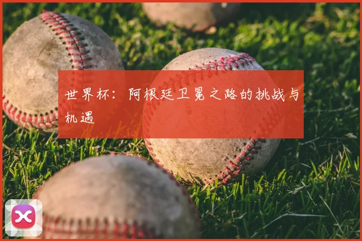 世界杯：阿根廷卫冕之路的挑战与机遇