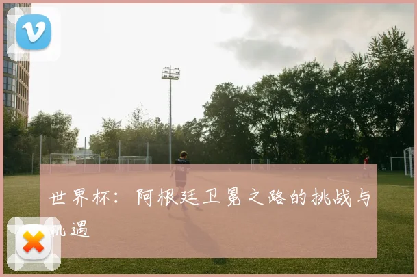 世界杯：阿根廷卫冕之路的挑战与机遇